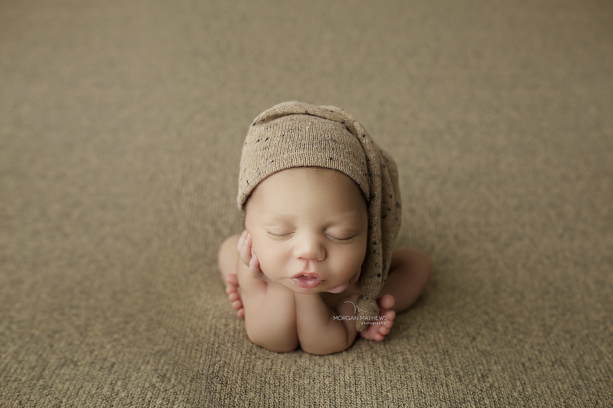 reno nevada newborn photographer